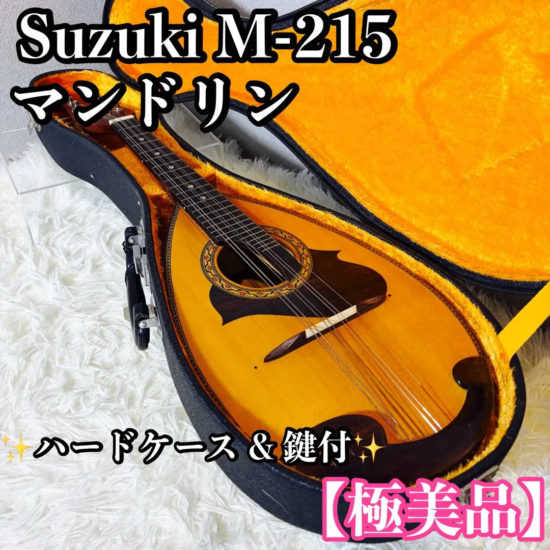 2026年最新】suzuki マンドリン 215の人気アイテム - メルカリ