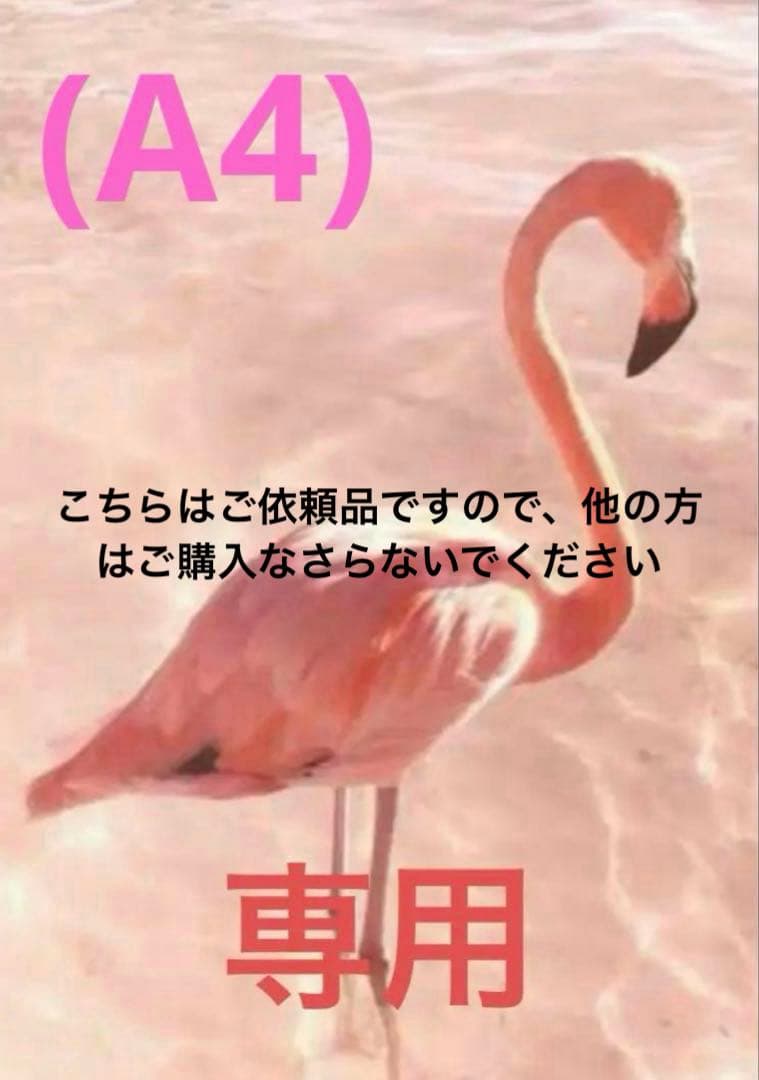 ★専用★ マスキングテープ　(A4) Amazon | エレコム ラベルシール ノーカット マスキンクテープ A4