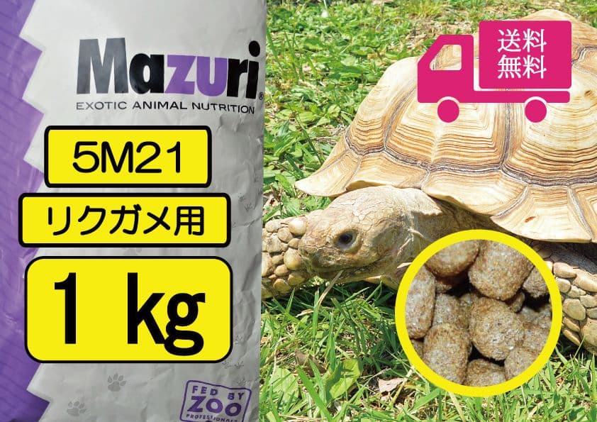 Mazuriリクガメ用フードトータスダイエット5M21 - メルカリ