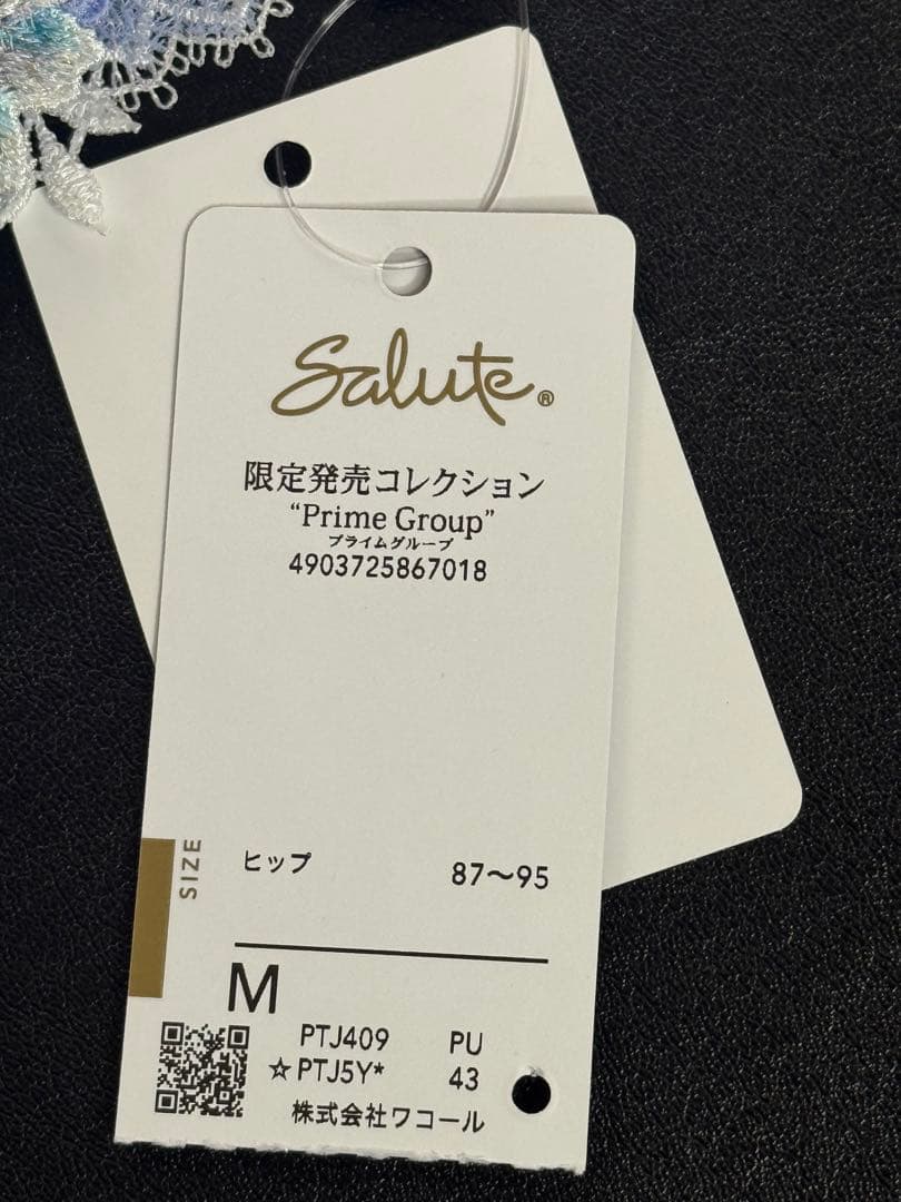 サルート 09グループ インドの花嫁 E70&ソングM PU 店舗限定 - メルカリ