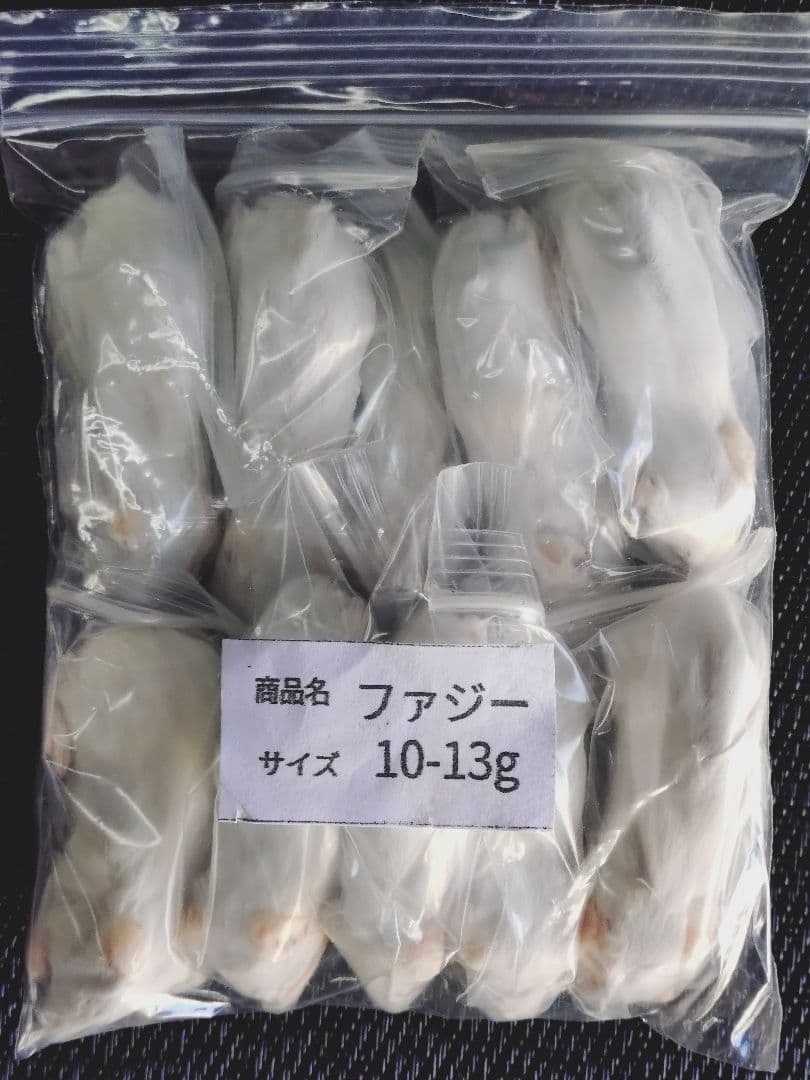賈琦様冷凍ファジー10匹ファジーS 30匹アダルトM 10匹フタホシ200グラム 賈琦様冷凍ファジー10匹ファジーS 30匹アダルトM 10匹フタホシ200