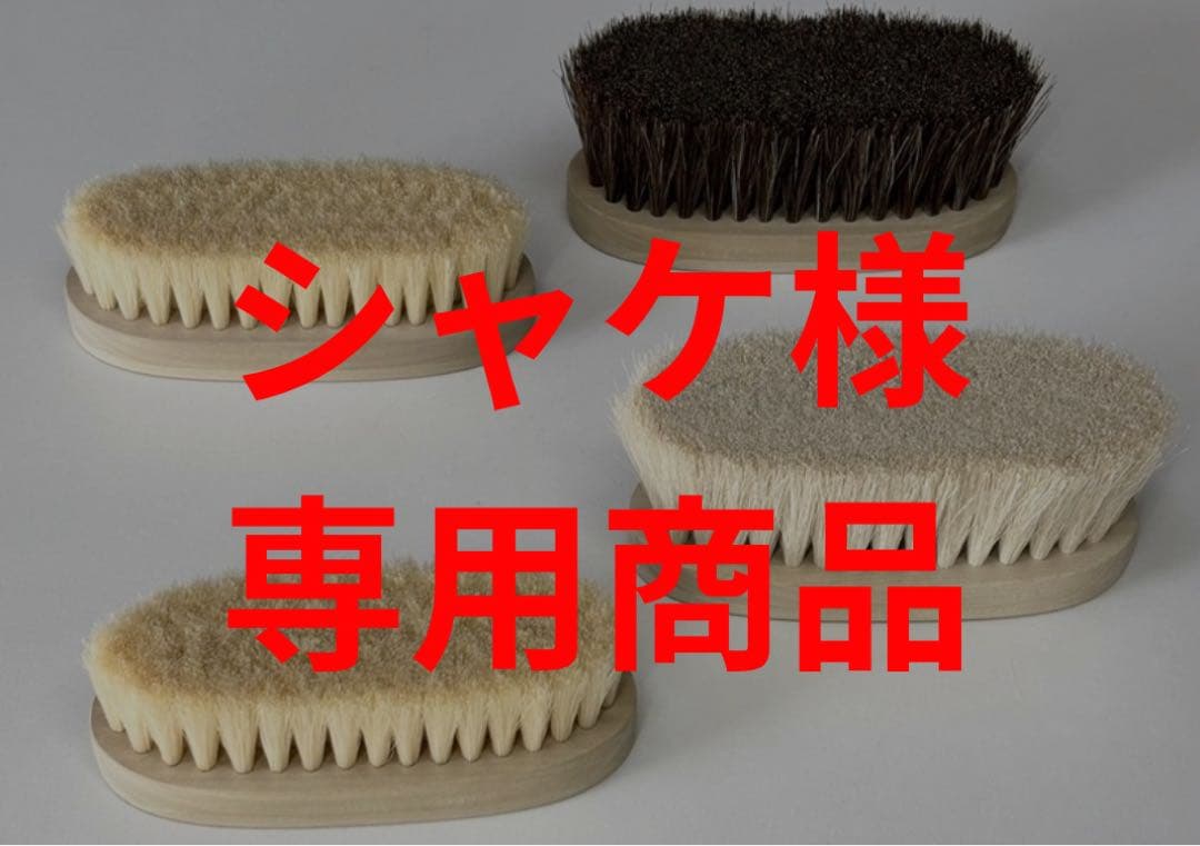 Brush 4点セット（シャケ商品） Buy Set of 4 Brushes - EVS-04 at Best Price Online : 20% Off | Vega
