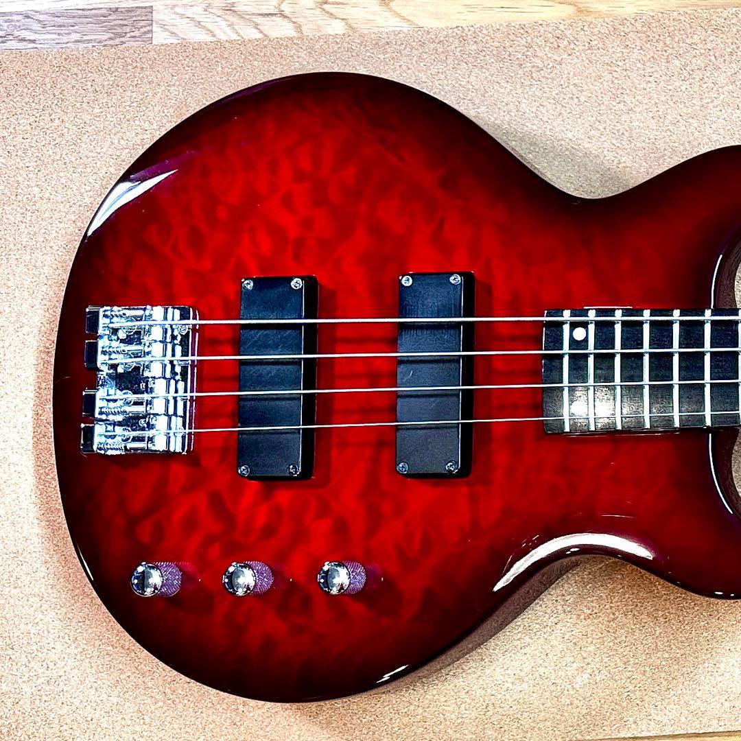 EDWARDS E-J-140TVB Fire Red LUNA SEA J - メルカリ