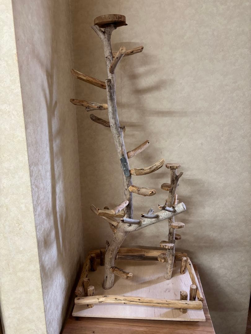 みゅん鳥インコ止まり木 タワー型バードアスレチックバードジム 楽天市場】【動画あり】インコ 鳥の止まり木 遊び場 おもちゃ 三層