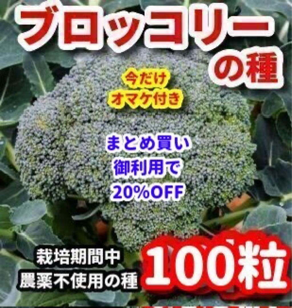 ブロッコリーの種【100粒】⭕️まとめ買い御利用で20%OFFに‼️ - メルカリ