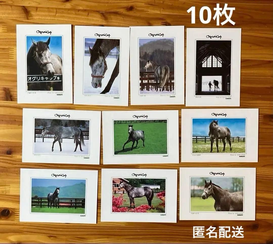JRA競馬 オグリキャップ ポストカード10枚 優駿スタリオンステーション