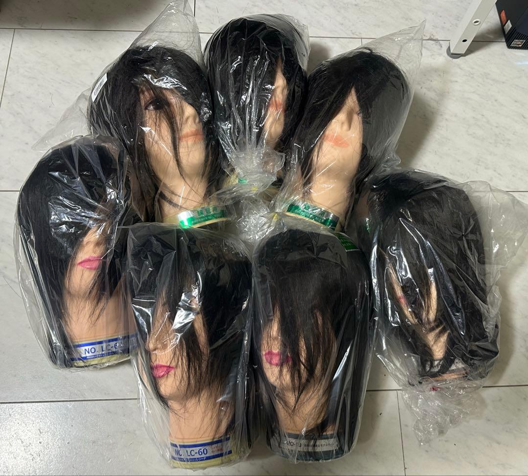 美容師国家試験 カットウィッグ 7体 新品未使用 美容師国家試験対策用カットウィッグ⑩ - メルカリ