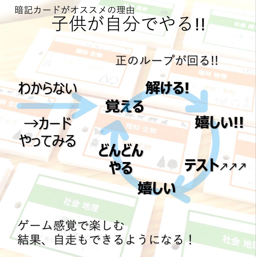 中学受験 暗記カード【4年上 理科 全セット 1-19回】組分けテスト対策