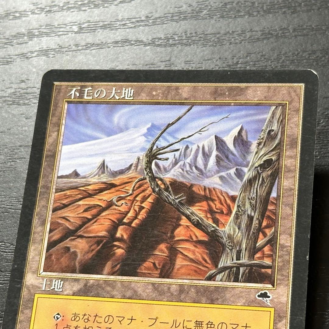 MTG 不毛の大地 日本語 初版 3枚 - メルカリ