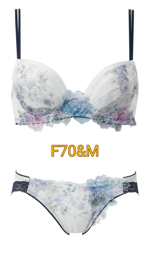 復刻企画 パルファージュデザイン ブラジャーショーツセット F70&M