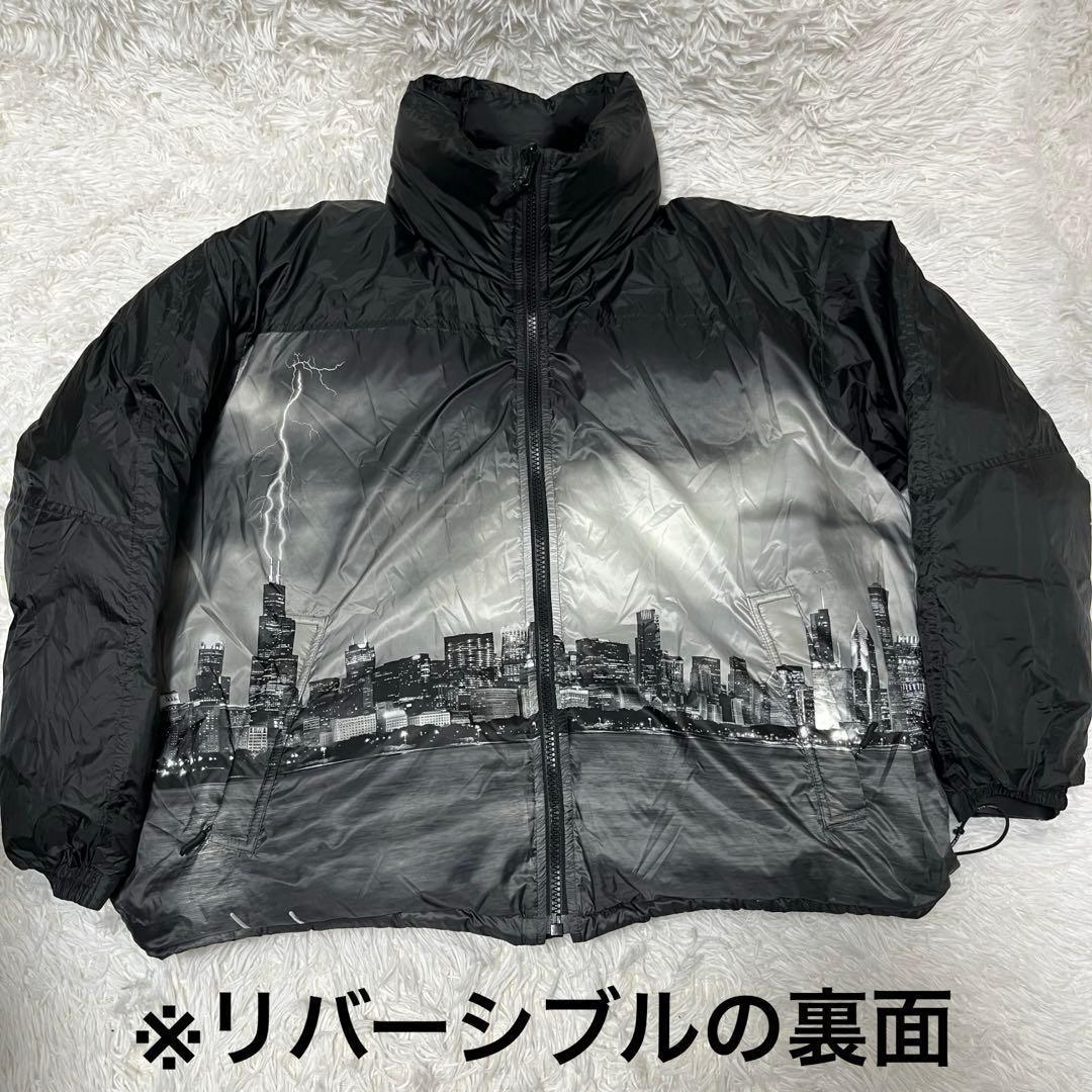 美品！Schott リバーシブル 自由の女神 XL相当 フード ジャケット