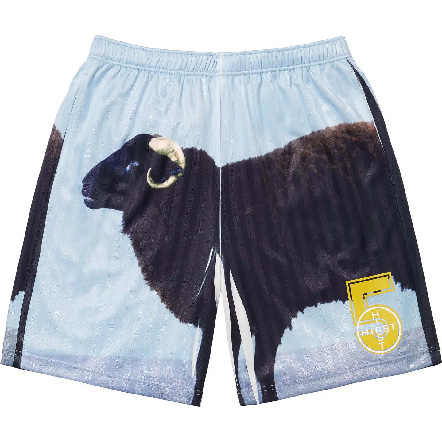 Supreme/Damien Hirst Soccer Short | Supreme 25ss