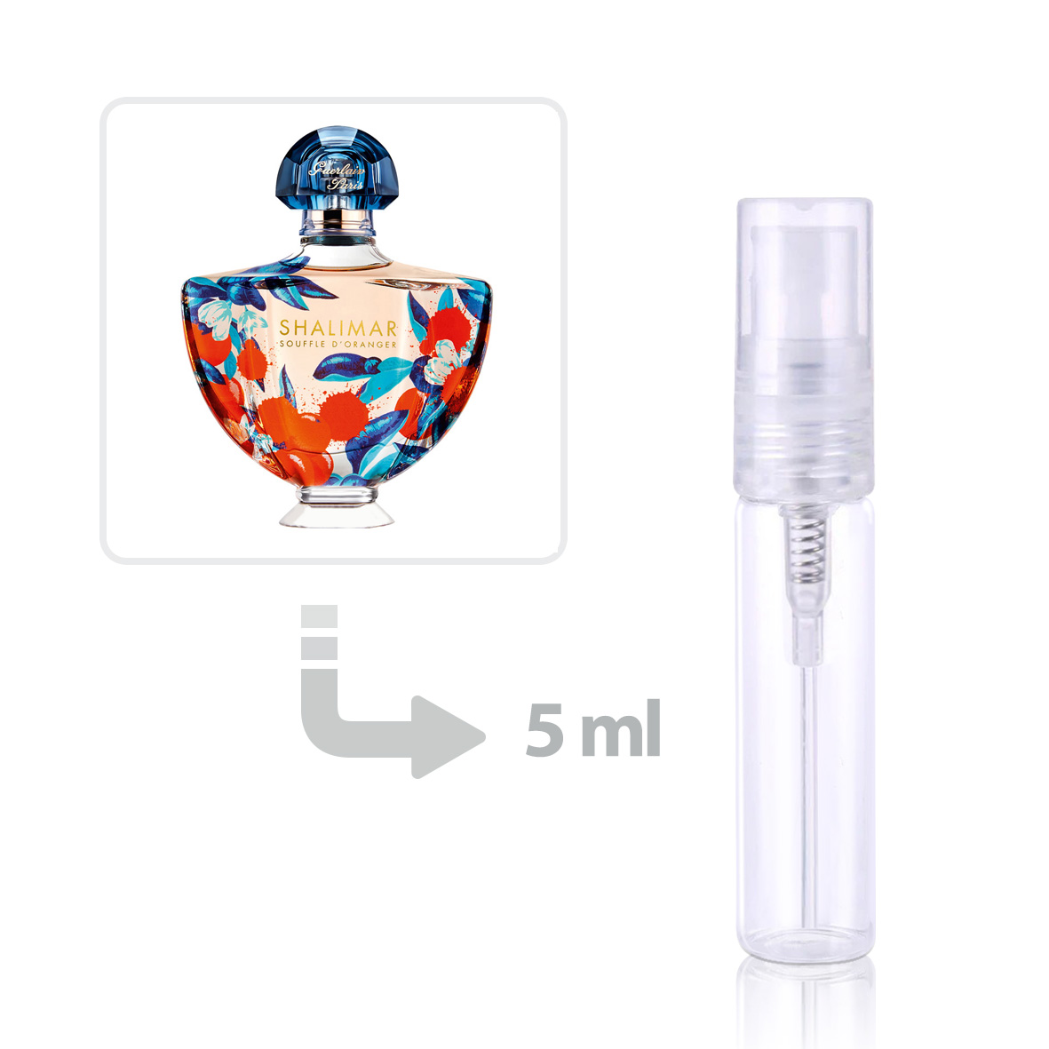 Shalimar Souffle dOranger Eau de Parfum for Women perfume